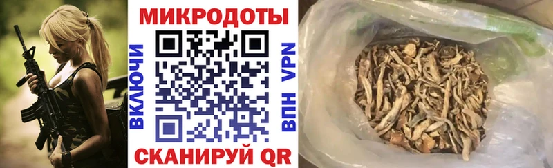 блэк спрут онион  наркотики  Лениногорск  Галлюциногенные грибы Cubensis 